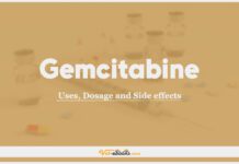 Gemcitabine in Dogs and Cats: Uses, Dosage and Side Effects