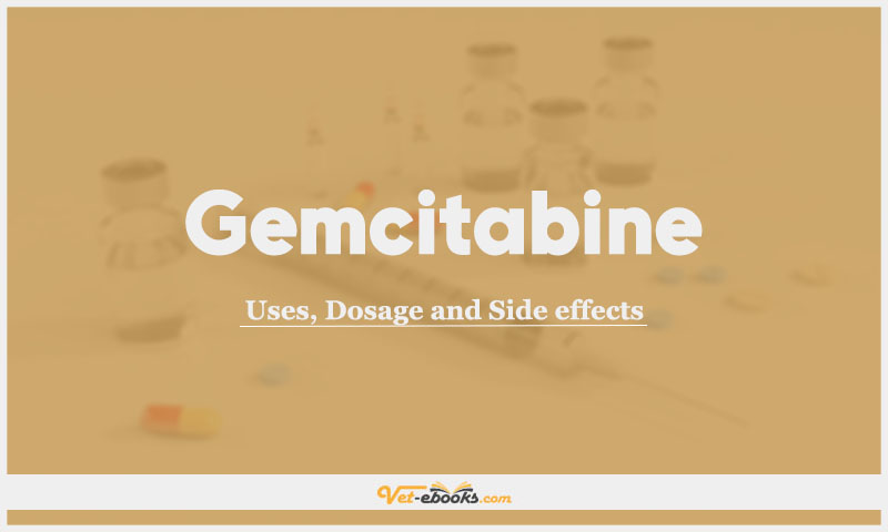 Gemcitabine in Dogs and Cats: Uses, Dosage and Side Effects