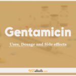 Gentamicin In Dogs and Cats: Uses, Dosage and Side Effects
