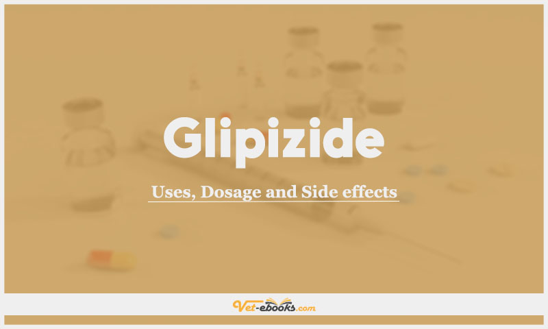 Glipizide in Dogs and Cats: Uses, Dosage and Side Effects