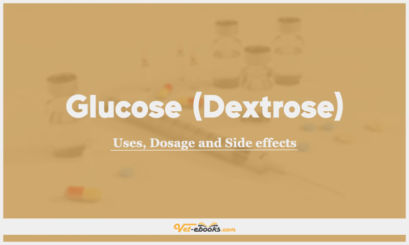 Glucose (Dextrose) In Dogs and Cats: Uses, Dosage and Side Effects