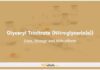 Glyceryl trinitrate (Nitroglycerin(e)) In Dogs and Cats: Uses, Dosage and Side Effects