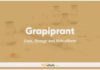 Grapiprant in Dogs and Cats: Uses, Dosage and Side Effects