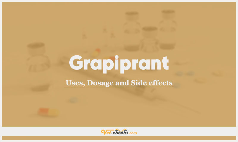 Grapiprant in Dogs and Cats: Uses, Dosage and Side Effects