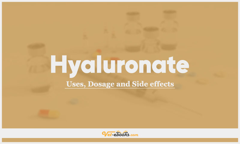 Hyaluronate