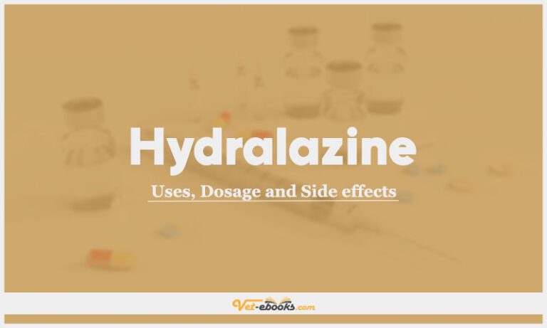Hydralazine Dose For Dogs & Cats | Vet Drugs List