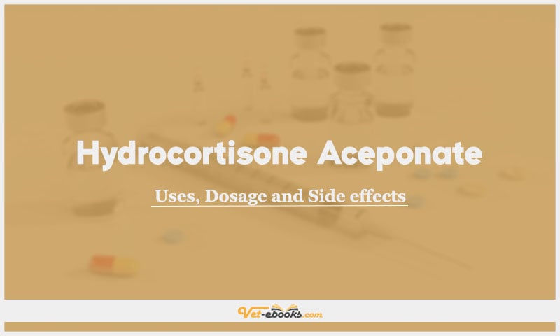 Hydrocortisone Aceponate: Uses, Dosage and Side Effects