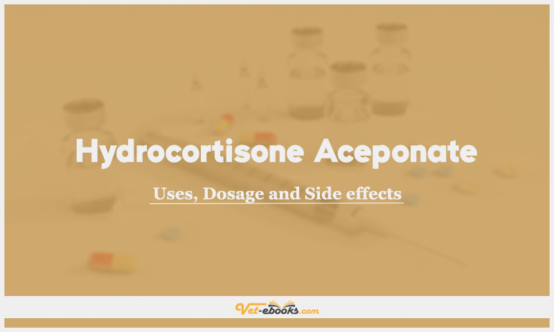 Hydrocortisone Aceponate: Uses, Dosage and Side Effects