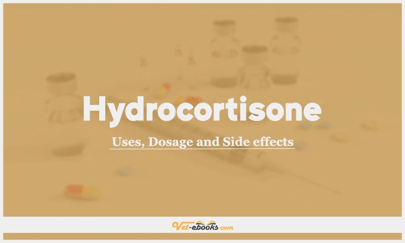 Hydrocortisone: Uses, Dosage and Side Effects