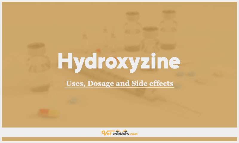 Hydroxyzine: Uses, Dosage and Side Effects