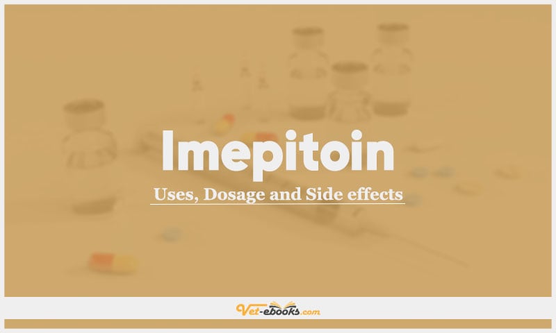 Imepitoin: Uses, Dosage and Side Effects