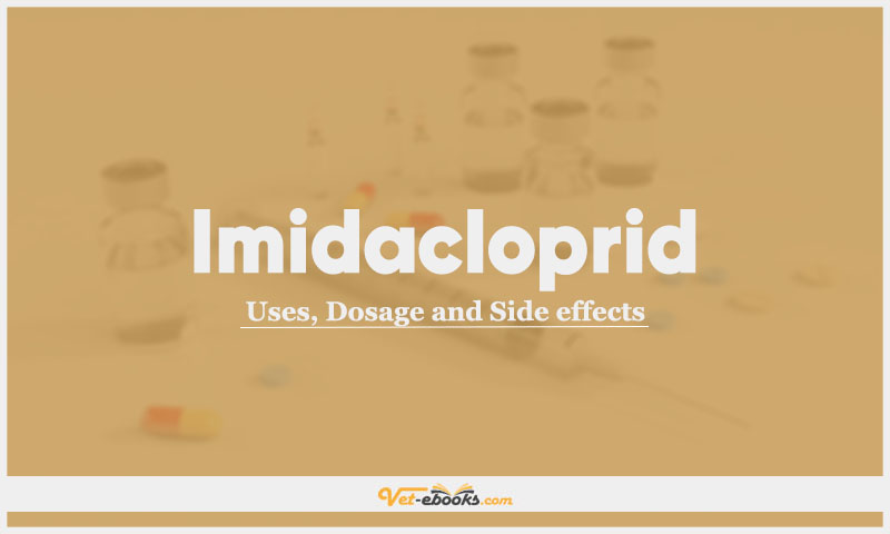 Imidacloprid