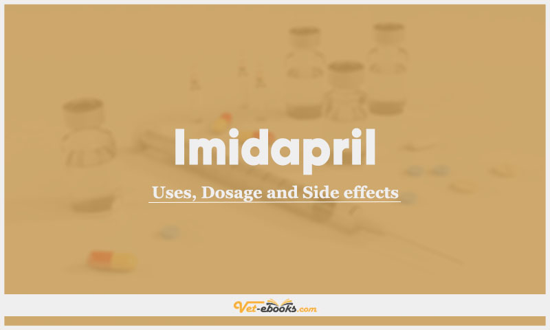 Imidapril In Dogs & Cats: Uses, Dosage and Side Effects