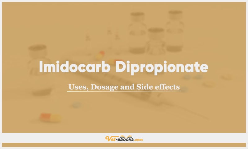 Imidocarb Dipropionate In Dogs & Cats:: Uses, Dosage and Side Effects