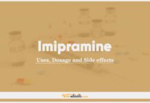 Imipramine In Dogs & Cats: Uses, Dosage and Side Effects