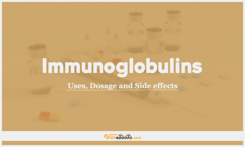 Immunoglobulins Dogs & Cats: Uses, Dosage and Side Effects