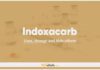 Indoxacarb Dogs & Cats: Uses, Dosage and Side Effects