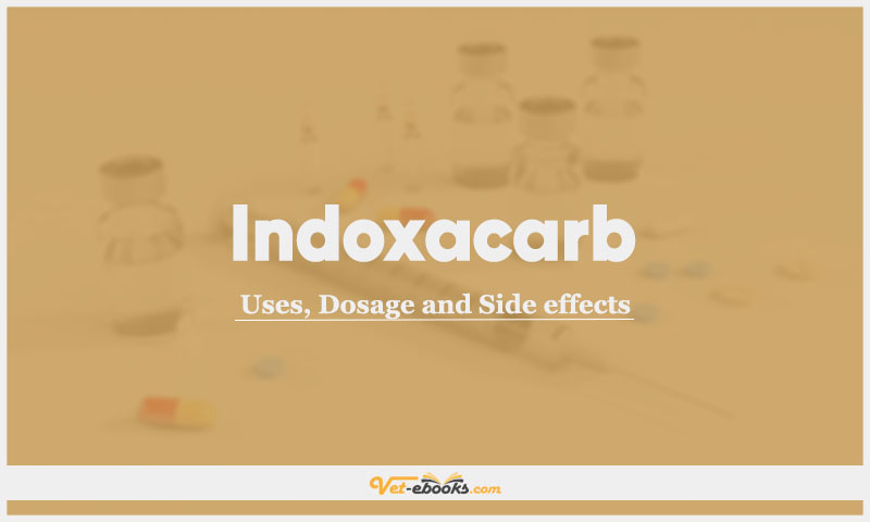 Indoxacarb Dogs & Cats: Uses, Dosage and Side Effects