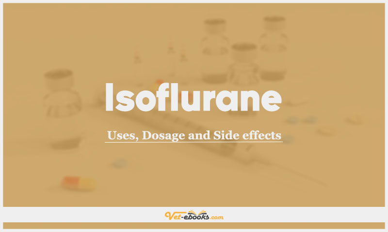 Isoflurane: Uses, Dosage and Side Effects