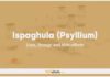 Ispaghula (Psyllium) In Dogs & Cats: Uses, Dosage and Side Effect