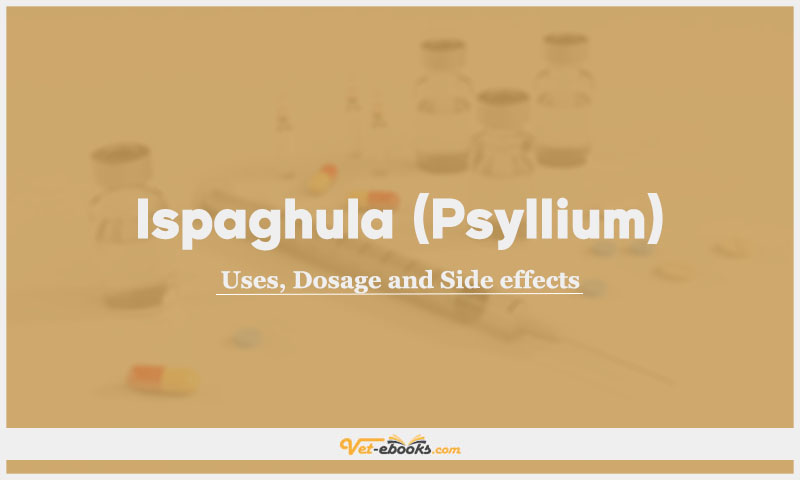 Ispaghula (Psyllium) In Dogs & Cats: Uses, Dosage and Side Effect
