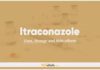Itraconazole In Dogs & Cats: Uses, Dosage and Side Effects