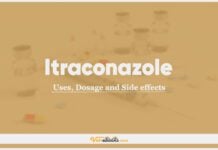 Itraconazole In Dogs & Cats: Uses, Dosage and Side Effects