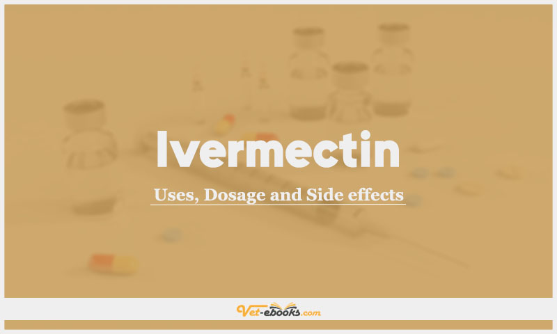 Ivermectin In Dogs & Cats: Uses, Dosage and Side Effects