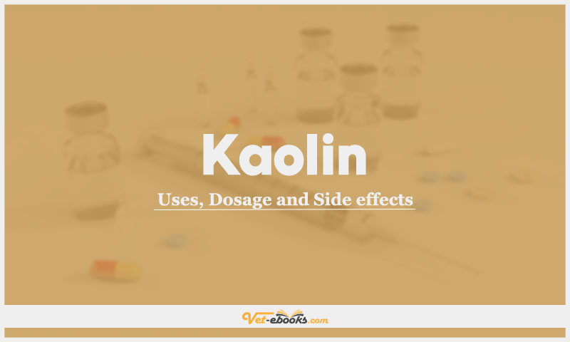 Kaolin In Dogs & Cats: Uses, Dosage and Side Effects