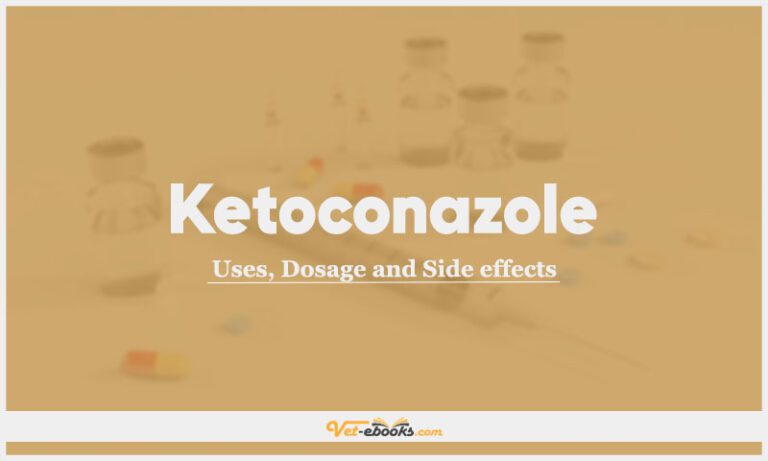 Ketoconazole Dose For Dogs & Cats | Vet Drugs List