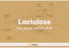 Lactulose In Dogs & Cats: Uses, Dosage and Side Effects