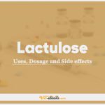 Lactulose In Dogs & Cats: Uses, Dosage and Side Effects