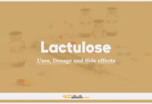 Lactulose In Dogs & Cats: Uses, Dosage and Side Effects