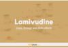 Lamivudine (3TC) In Dogs & Cats: Uses, Dosage and Side Effects