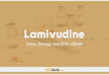 Lamivudine (3TC) In Dogs & Cats: Uses, Dosage and Side Effects