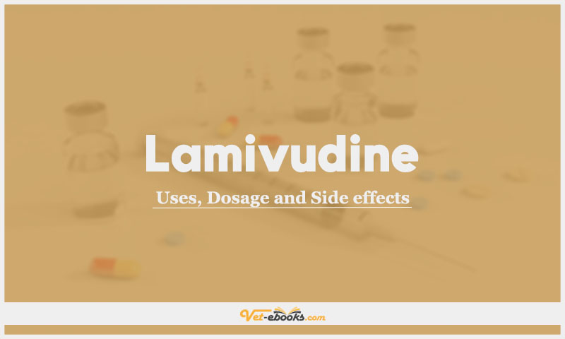 Lamivudine (3TC) In Dogs & Cats: Uses, Dosage and Side Effects