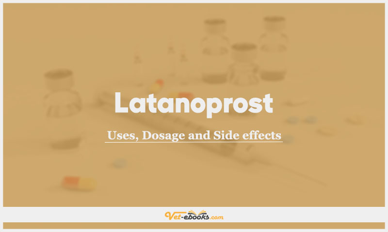 Latanoprost In Dogs & Cats: Uses, Dosage and Side Effects