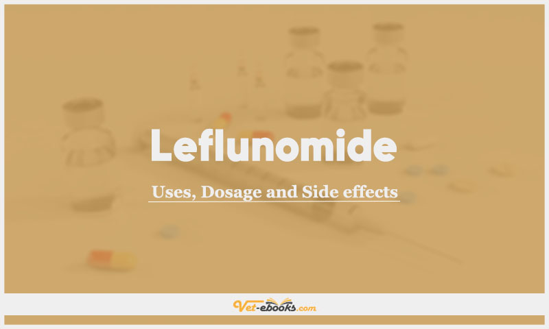 Leflunomide In Dogs & Cats: Uses, Dosage and Side Effects