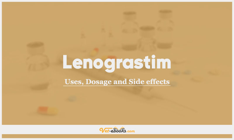 Lenograstim (rhG-CSF) In Dogs & Cats: Uses, Dosage and Side Effects