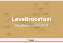 Levetiracetam (S-Etiracetam) In Dogs & Cats: Uses, Dosage and Side Effects