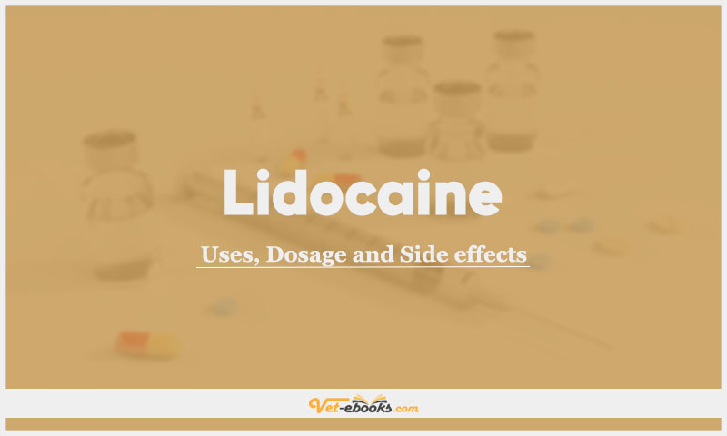 Lidocaine (Lignocaine) In Dogs & Cats: Uses, Dosage and Side Effects