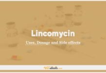 Lincomycin In Dogs & Cats: Uses, Dosage and Side Effects