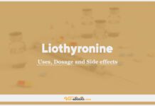 Liothyronine In Dogs & Cats: Uses, Dosage and Side Effects