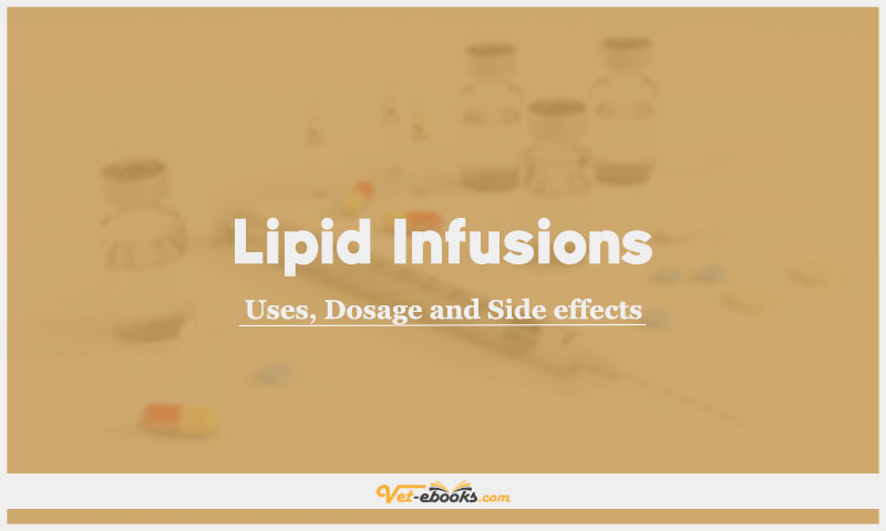 Lipid infusions In Dogs & Cats: Uses, Dosage and Side Effects