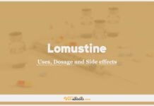 Lomustine (CCNU) In Dogs & Cats: Uses, Dosage and Side Effects