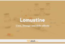 Lomustine (CCNU) In Dogs & Cats: Uses, Dosage and Side Effects