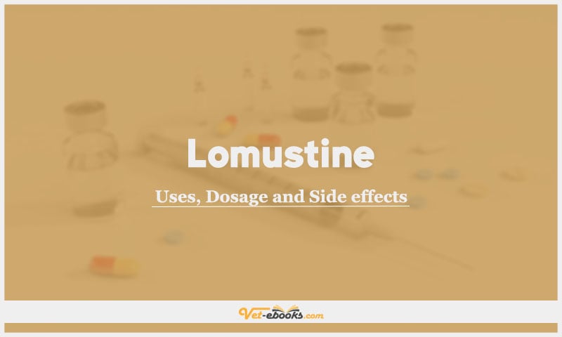 Lomustine (CCNU) In Dogs & Cats: Uses, Dosage and Side Effects