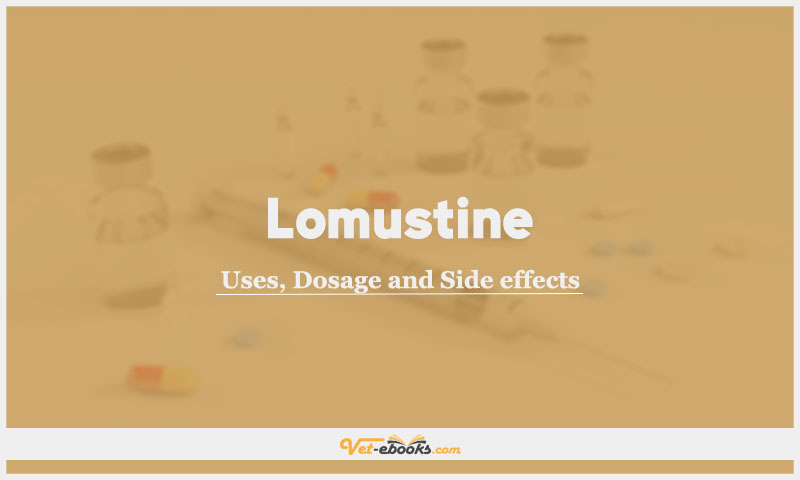 Lomustine (CCNU) In Dogs & Cats: Uses, Dosage and Side Effects