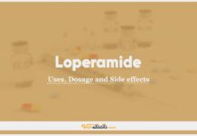 Loperamide In Dogs & Cats: Uses, Dosage and Side Effects