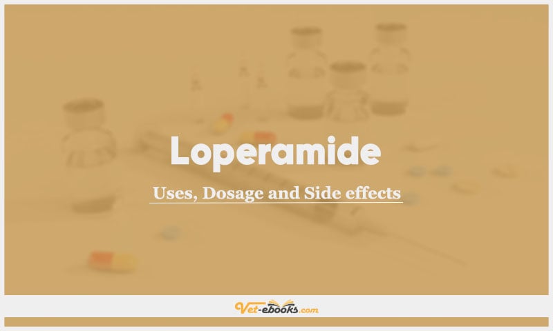 Loperamide In Dogs & Cats: Uses, Dosage and Side Effects